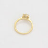 Anillo promesa