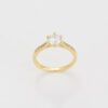Anillo promesa