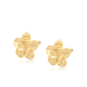 Arete Estrella Diamantada
