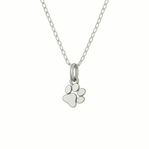 Collar huella plata