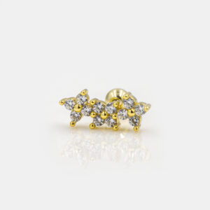 Piercing Primavera